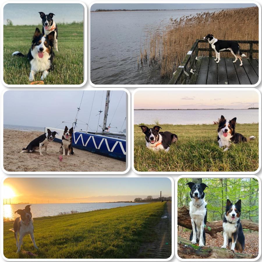 Riverside-Lemmer Exteriér fotografie